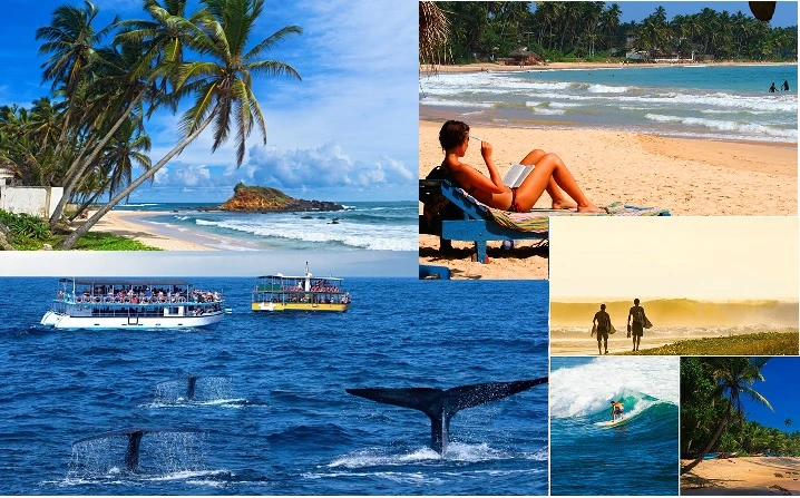 Mirissa Beach – Sea Breeze Series 3