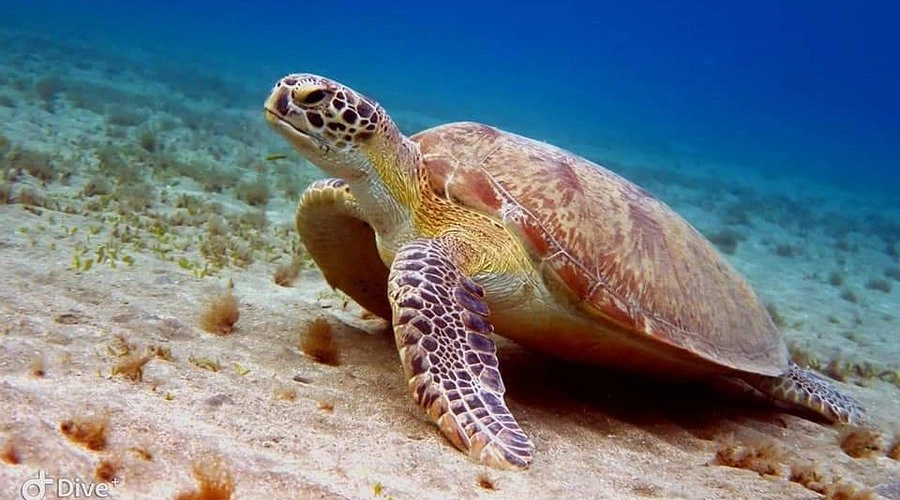 Top 7 Must-Visit Hidden Gems in Sri Lanka for 2025 Travelers