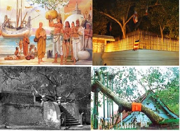 Jaya Sri Maha Bodhi